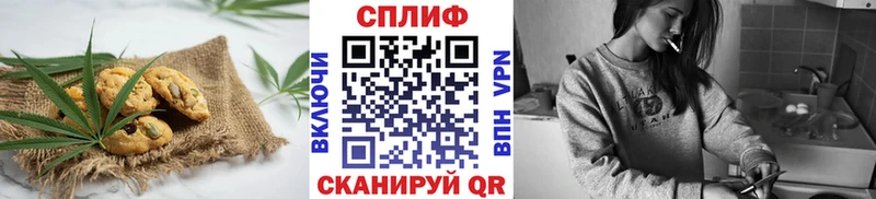 Cannafood конопля  Купить где  Хасавюрт 