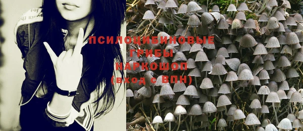 мяу мяу мука Горнозаводск